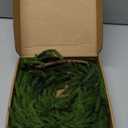 Real Touch Christmas Norfolk Pine Garland - 5ft Artificial Christmas Garland Fake Pine Needles Faux Green Garland for Fireplace,Table,Window,Stairs,Mante,Holiday Indoor Outdoor Xmas Decor(1PCS)