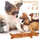 balacoo Squeaky Plush Dog Chew Toys for Puppies and Cats Interactive Sound Pet Toys Cartoon Sausage Dog Design 15.74X3.54X1.18In Soft Material Indoor Outdoor Play