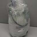 Chapin 20006 Made in USA 3 -Gallon Lawn and Garden Pump Pressured Sprayer, for Spraying Plants, Garden Watering, Lawns, Weeds and Pests, Translucent White