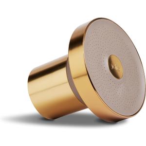 THE JOLIE FILTERED SHOWERHEAD with Shower Filter System- High Pressure Showerhead, Hair and Skincare Accessory to Improve Beauty and Personal Care Routine (Gold)