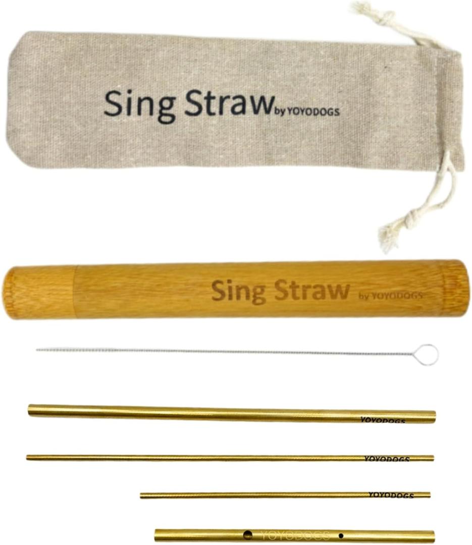 Vocal Training and Healing Aid Tool,Sing Straw Voice Vocal Trainer Metal Therapy Tool(Vocal Training-D)