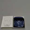 Ai Translation Earbuds Real Time, 164 Languages Translator Earbuds with 6 Translation Modes/No Subscription, Audio and Video Calls Translator Headphones, Blue