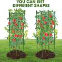 3 Pack Tomato Cage,Tomato Cage for Raised Garden Bed, 48'' Tall Tomato Trellis Triangle or Square Cages for Garden,Pots, Plant Cages & SupportsGreen, Extra Bold