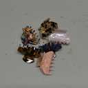 WILLBOND 6 Pieces Medium Hair Claw Clips for Thin Hair 2.6 Inch Tortoise Shell Clip Banana Jaw Hairpin French Style Barrettes Head Accessories for Women Girls(Stylish Patterns)