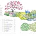 The Perennial Gardener's Design Primer