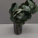 Briful Artificial Eucalyptus Stems in Black Glass Vase with Faux Water, 14" Fake Plant Eucalyptus Leaves for Home Office Farmhouse Wedding Centerpiece Dcor