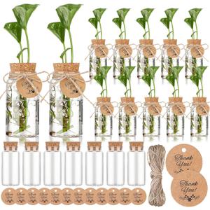 Baderke 24 Pack 3.54'' Plastic Plant Propagation Stations with Hole Lid 4oz Planter Vase Clear Propagation Jars with Thank You Tags for Plant Lover Gifts for Women Office Home Garden(24 Pack)