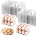 100 Pack 12 Count Plastic Egg Cartons - Bulk Cheap Clear Reusable Egg Containers for Chicken Eggs, Dozen Egg Storage Solutions