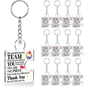 Team Appreciation Gifts for Employee Coworker Staff Bulk, Teamwork Thank You Gift Set Puzzle Piece Acrylic Keychains