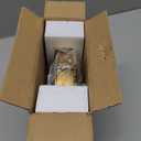 NIKKY HOME Vintage Table Top Clock, Silent Small Shelf Desk Clock Battery Operated Rustic Design, Home Decor for Living Room, Bedroom, Bedside, Gift Clock - Gold