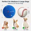 2 Pack Interactive Dog Balls - Auto Moving Bouncing Vibrating Washable Dog Toys for Large Medium Dogs, Type-C Rechargeable, Blue and Orange, Ripple Pattern