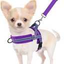 SlowTon No Pull Small Dog Harness and Leash Set, Puppy Soft Vest Harness Neck & Chest Adjustable, Reflective Lightweight Harness & Anti-Twist Pet Lead Combo for Dogs (PU-Front Clip, XS)