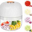 Electric Garlic Chopper, Mini Portable Veggie Chopper, 250ML Garlic Grinder Masher Onion Grinder, Blender to Vegetable, Wireless Food Processor for Ginger, Chili, Fruit, Meat, etc (White)