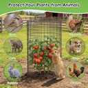 30Pcs 12"x 16" Large Wire Plant Protectors from Animals, 10 Packs Metal Plant Cages Mesh Chicken Wire Cloche with Nylon Ties and Ground Stakes, Garden Cloches for Plants, Poultry, VegetablesBlack
