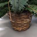 Nearly Natural 6599 18in. Boston Fern Artificial Plant in Hanging Basket, Green,29" x 29" x 18"