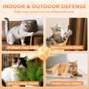 Cat Deterrent Spray, Natural Cat Repellent for Urine Marking, Cats Scratch Deterrent & Training Aid Spray to Safe for Furniture & Plants, Indoor & Outdoor Use  5.92 fl oz