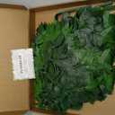 60Pcs Fake Nandina Greenery Stems 18" Artificial Silk Greenery Leaves for DIY Bouquet Filler Table Centerpieces Decor