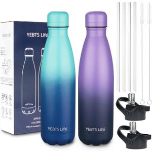 Insulated Water Bottle,2 Pack-17oz Stainless Steel Water Bottles with straw lid,Metal Sports Thermos Water Bottles for Boys,Girls,Double Wall Vacuum BPA-Free Flask for School(Purple-Ocean Dream)