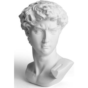 Garwor David Statue Head Sculptures 6" Michelangelo David Bust Figurine Classic Greek Roman Bust Home Decor Office Decor