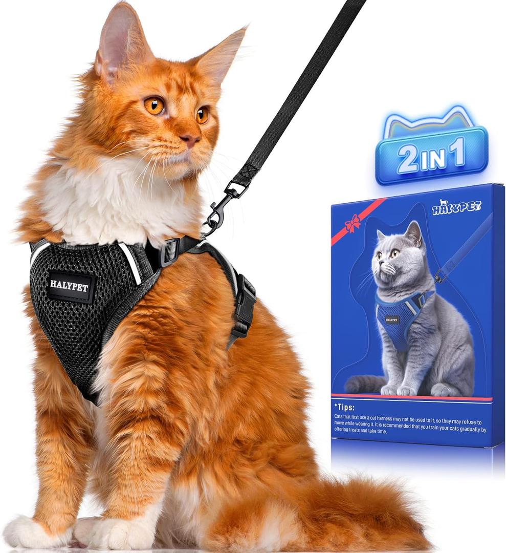 Halypet Cat Harness and Leash Set [ MAX Safety Third Generation ] Escape Proof Soft Adjustable Cat Leash Breathable Comfortable Vest Easy to Wear Kitten Harness for Outdoor Walking Black (Medium (13-18lb))
