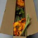ATFL Orange Poppy Flowers Artificial for Wedding Decorations,12 Pcs Fake Faux Silk Poppies Bulk for Home Decor Table Centerpieces Floral Arrangement(23.5, Orange)