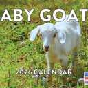 Baby Goat Calendar 2026 Monthly Wall Calender 12 Month | American Made In The USA
