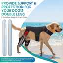 Dog Knee Brace for Back Leg Hind Leg ACL Dog Brace Support Adjustable Double Dog Leg Brace with Stabilizers, Helps with Torn CCL, Luxating Patella, Ligament Injuries,L