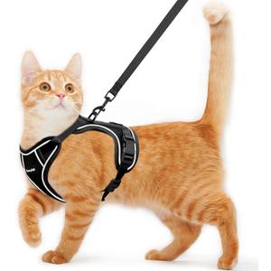 Cat Harness and Leash for Walking Escape Proof Soft Adjustable Cat Leash | Breathable Comfortable Vest Easy to Wear Kitten Harness for Outdoor travel (Black, M (13-18lb))