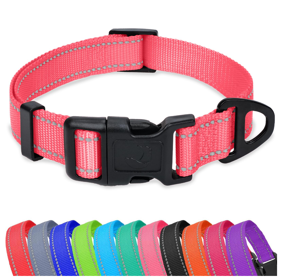 Taglory Reflective Adjustable Dog Collars for Puppy Small Medium Large Dogs, Thin Nylon Webbing and Quick Release Plastic Buckle(Aqua Blue, X-Large) (XL(1.25"x18-28"))