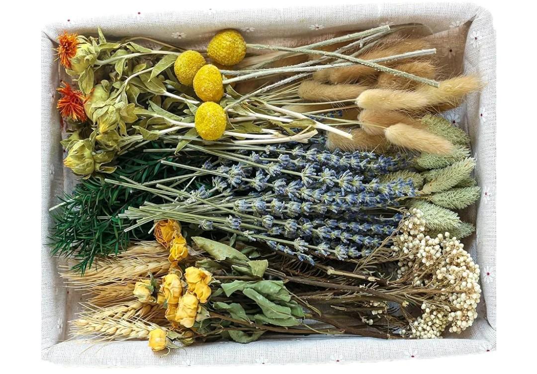DIY Natural Dried Flower Set, Bulk Dried Flowers for Vase, Dried Flowers with Stems, Dried Roses, Mini Dried Flower Bouquets.(Brown)