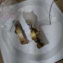 Brass Gold Flush Mount Ceiling Light, 2- Light Caged Crystal Chandelier, Small Drum Hallway Light fixtures Ceiling Mount (Brass Gold)