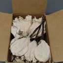 Alupssuc 24 PCS Poinsettia Christmas Flowers Artificial, Glitter Magnolia Poinsettia Flowers Artificial, Sparkling Christmas Decorations for Xmas Tree Party Wreath Fireplace, Champagne Gold