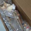 8PCS Farm Animals Toys for Kids Toddlers,Realistic Plastic Farm Animal Figurines Barn Toys with Marwari Horse,Cow,Rabbit,Dog,Sheep,Pig,Alpaca,Goose, Preschool Toy Birthday Gift for Boys Girls