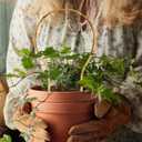 6 Pack Bamboo Trellis Round-Shaped for Potted Plant, 16 Inch Plant Support Stake for Climbing Vines, Decorative Hoop Stake for Potted Hoya