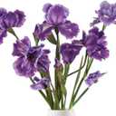 IPOPU Iris Flowers Artificial,5PCS Purple Iris Artificial Silk Flowers 31.1" Fake Flowers Long Stem Flowers for Wedding Office Home Decor(Purple)
