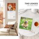 Ospelelf 2026-2027 Wall Calendar 12"X12", 18 Months Hanging Calender, Spiral Bound Dog Calendar for Easy Organizing, Use Jan 2026 - Dec 2027