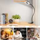 Woputne Desk Lamp Clip Light, 10 Dimmable Brightness 3 Light Modes Reading Light, Clamp Bedside Lamp for Painting, Craft, Study (Black)