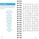 Brain Games - Large Print Word Searches (Teal)