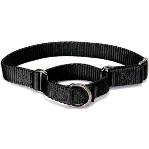 PetSafe Martingale Dog Collar Medium, 1 Inch, Black