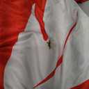 Kavoc 4 Pcs Hawaiian Costume Include Skirt with Flower Leis for Women Halloween Party Dress Up (X-Large)