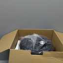 Toastmaster 2.6 Quart Air Fryer - Instant Air Fryer with 2.46 Liter Capacity - Kitchen Appliance for Healthy Cooking - Compact Appliance with Slide-Out Basket - Oil-Free Kitchen Gadget