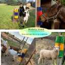 2PCS Livestock Scratching Brush Goat Scratcher Brush Post with Cleaning Tool, Grooming and Massage Scratch Brushes for Goat Horse Cow Sheep, Animals Back Scratching Itch Brushes