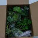 Winlyn 20 Pcs Assorted Artificial Succulents Plants Unpotted Small Green Cactus Echeveria Air Plant Picks Fake Succulents Bulk for Succulent Garden Wreath Floral Arrangement Indoor Outdoor Home Decor