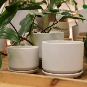 April Ceramic Planter, 3 Pack