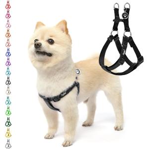 PUPTECK No Pull Dog Harness Soft Adjustable Basic Nylon Step in Puppy Vest Outdoor Walking with ID Tag (Small, Black)