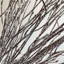 Decorative Birch Branches, 23 Inch Brich Stems for Wedding Decor,Dried Twigs for Christmas Decor (Snowflake Implant)