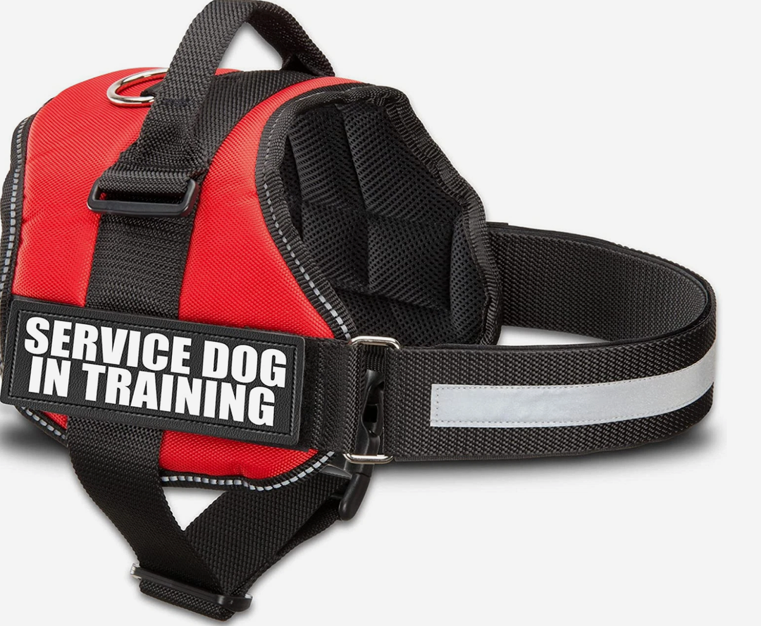 Official Service Dog in Training Vest Harness Bundle Kit. Includes Set of Service Dog , S