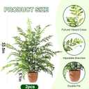 2 Pack Artificial Fern Plants in Pots Artificial Boston Ferns Potted Plants Faux Fern Bush Plant Shrubs Greenery for Outdoor Indoor Porch Patio Farmhouse Garden Living Room Office Table Decor (Type 5)