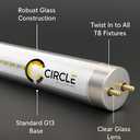 Circle (Case of 25 F32T8/SP850 Super White Linear Fluorescent 32-Watt T8 FO32 5000K Light Bulbs 48inches