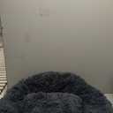 Donut Dog Bed - Premium Comfort for Anxiety Relief - Fluffy & Calming Design with Ultra-Plush Support | Cozy Round Dog Bed with Super Soft Circle Style (Dark Grey, Medium)